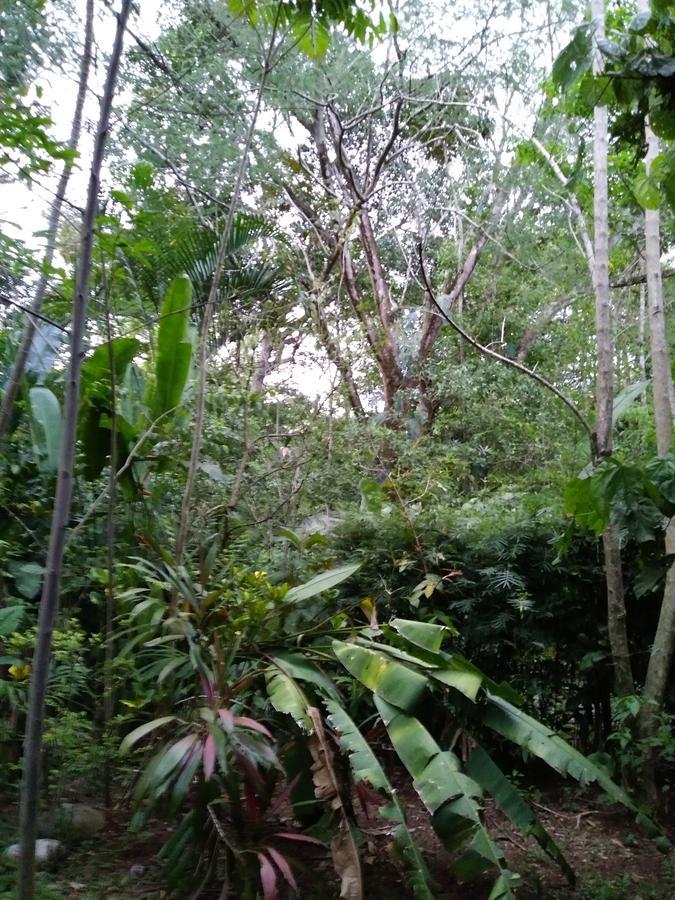 Hospedaje El Bosquecito Увіта Екстер'єр фото