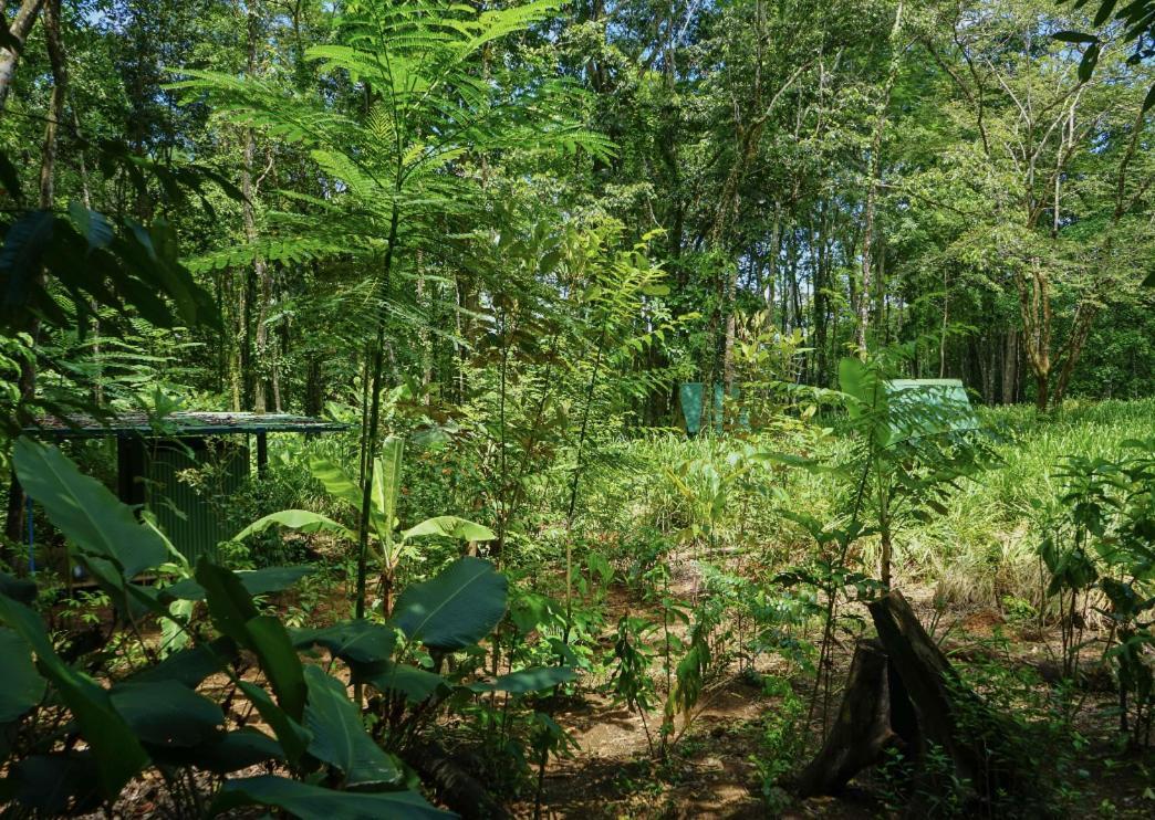 Hospedaje El Bosquecito Увіта Екстер'єр фото